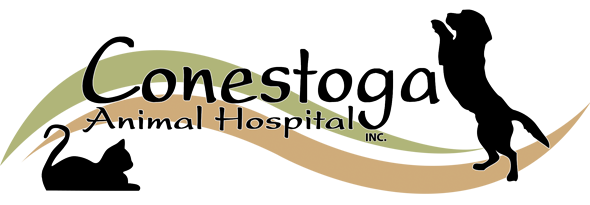 Conestoga Animal Hospital | Veterinarians Serving Lancaster County -  Ephrata, New Holland, Akron, Denver, Reamstown and more in Lancaster, PA
