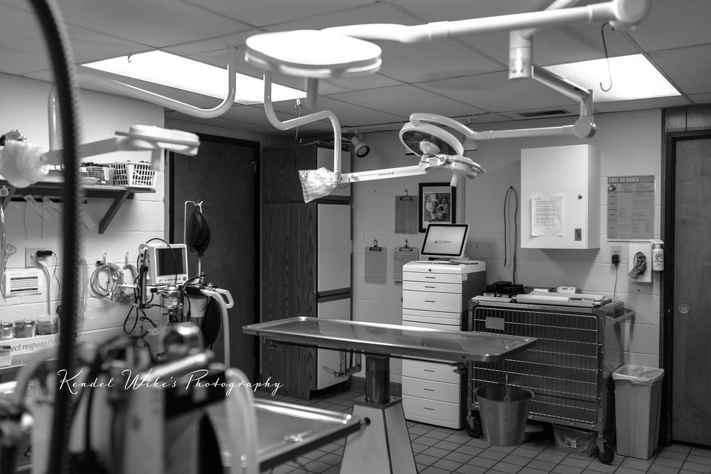 A black-and-white photo of a veterinary operating room